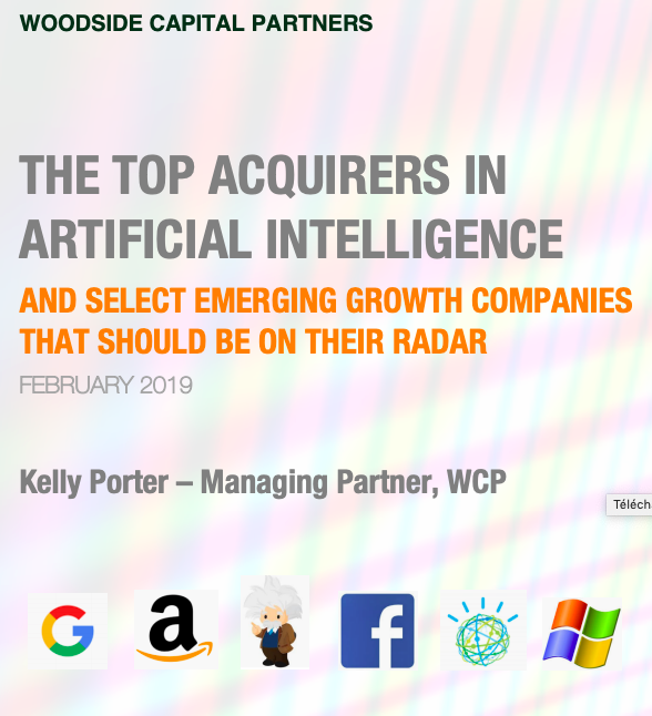 THE TOP ACQUIRERS IN ARTIFICIAL INTELLIGENCE